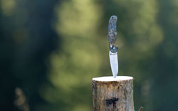 Close-up of folding pocket knife with plastic handle stuck vertically in tree stump outdoors